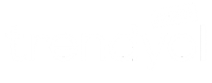 trendyol_logo
